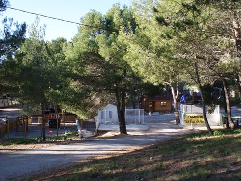Camping Le Bois de Pins - Camping Pyrénées-Orientales - Image N°38